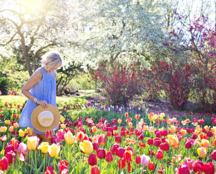 2/15小年夜兒少成人聯合主日時間
