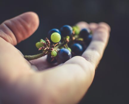 興福義賣-用行動支持愛心