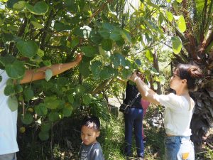 LINE_ALBUM_2025616_250617_13